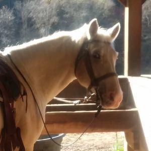 Meet your Posher, Danette